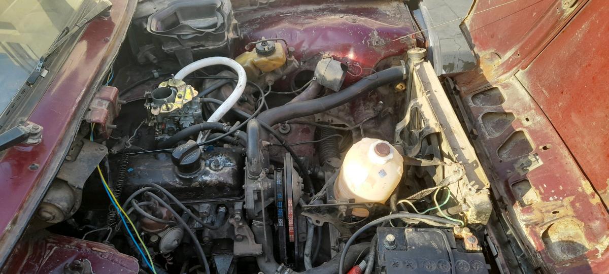 R5 GTL - Les Eucalyptus, Alger - Tijelabin