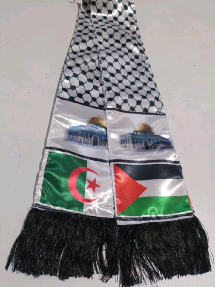 حامل العلم الوطني - Sidi Lakhdar, Ain Defla - Tijelabin