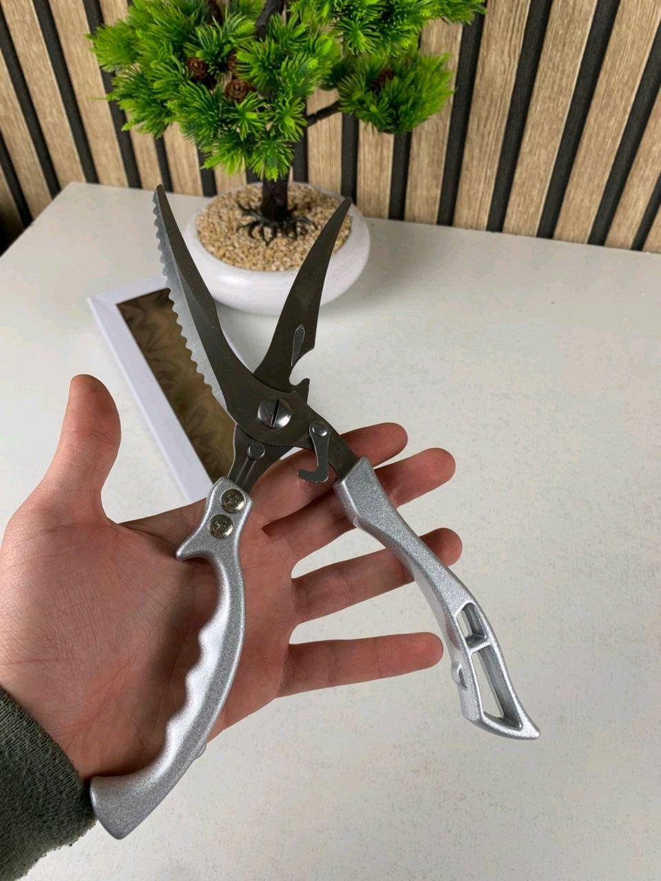 مقص تقطيع اللحوم - Alger Centre, Alger - Tijelabin