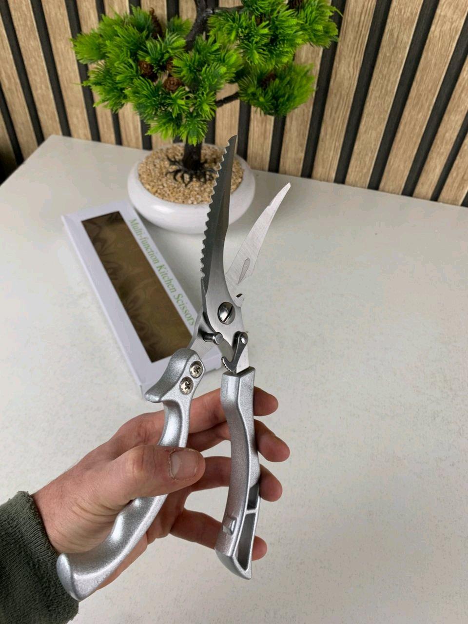 مقص تقطيع اللحوم - Alger Centre, Alger - Tijelabin