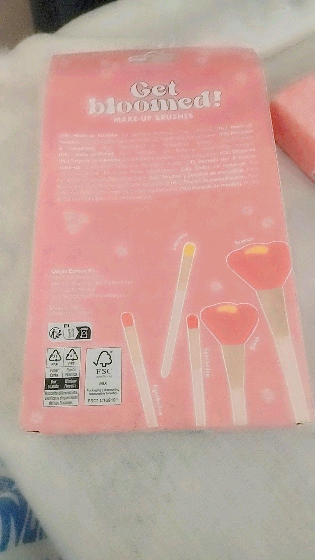 pinceau - Oran, Oran - Tijelabin