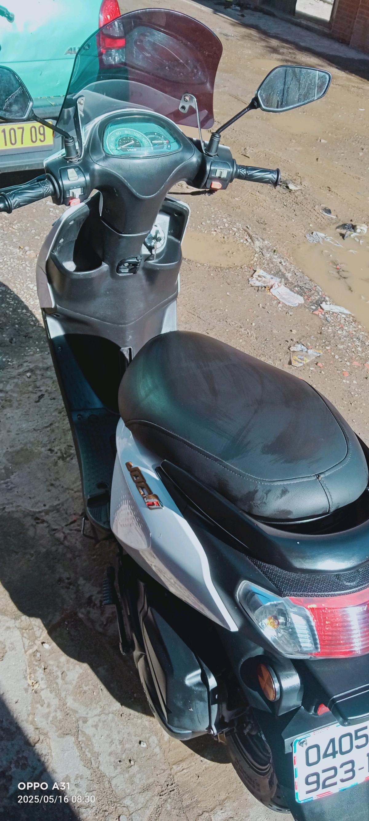 0559523771 - Mouzaia, Blida - Tijelabin