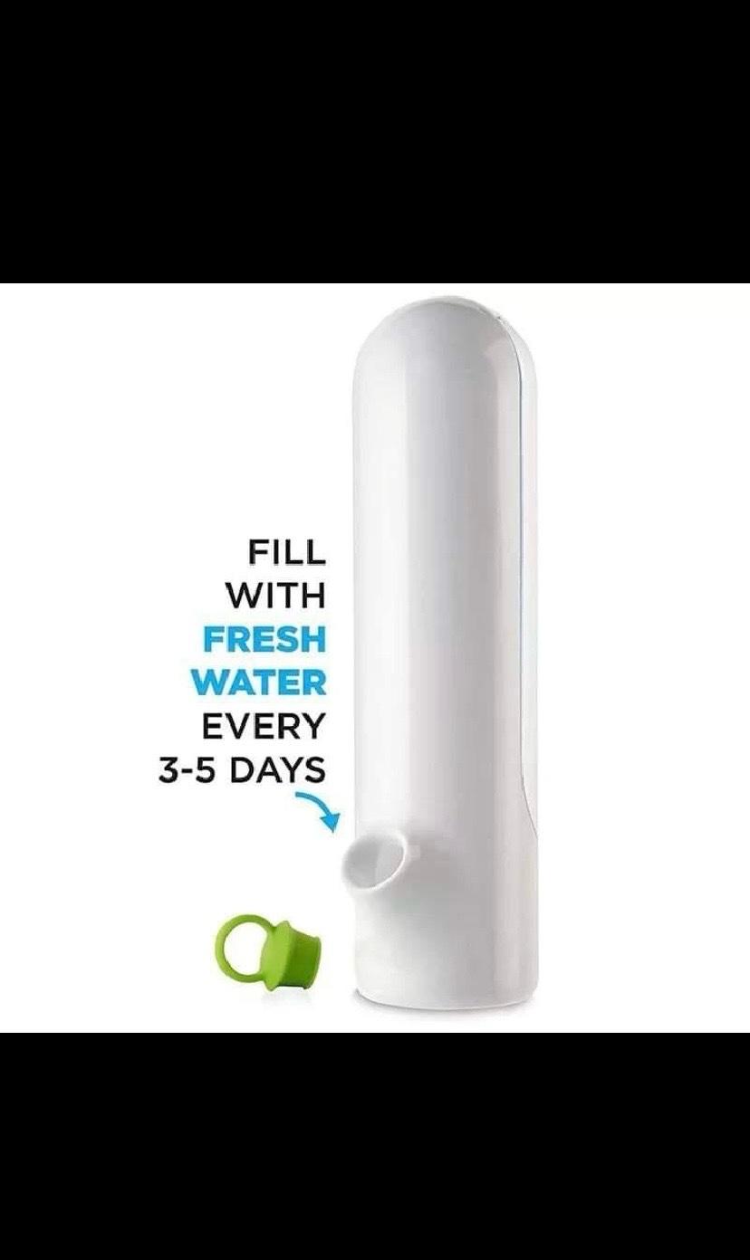 حافضة الأعشاب - Alger Centre, Alger - Tijelabin