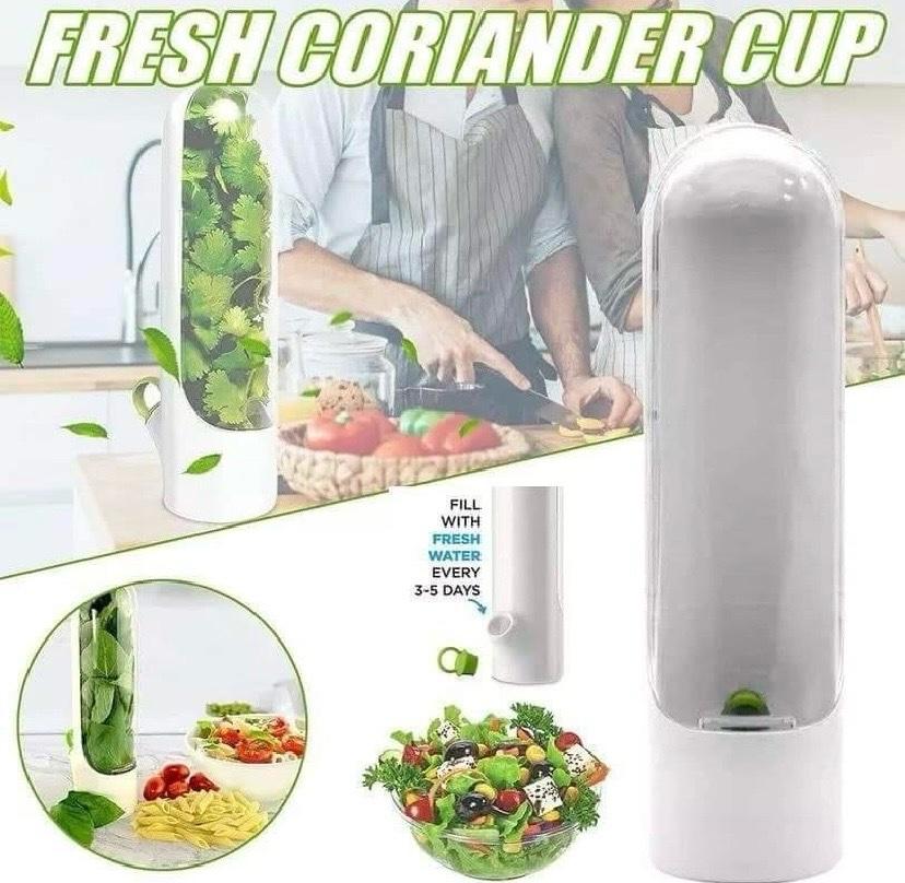 حافضة الأعشاب - Alger Centre, Alger - Tijelabin