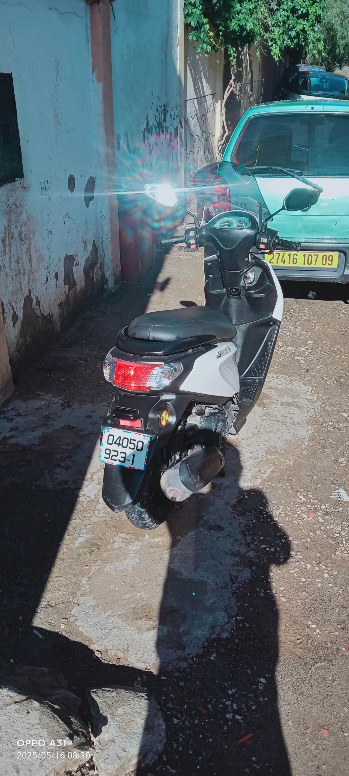 0559523771 - Mouzaia, Blida - Tijelabin