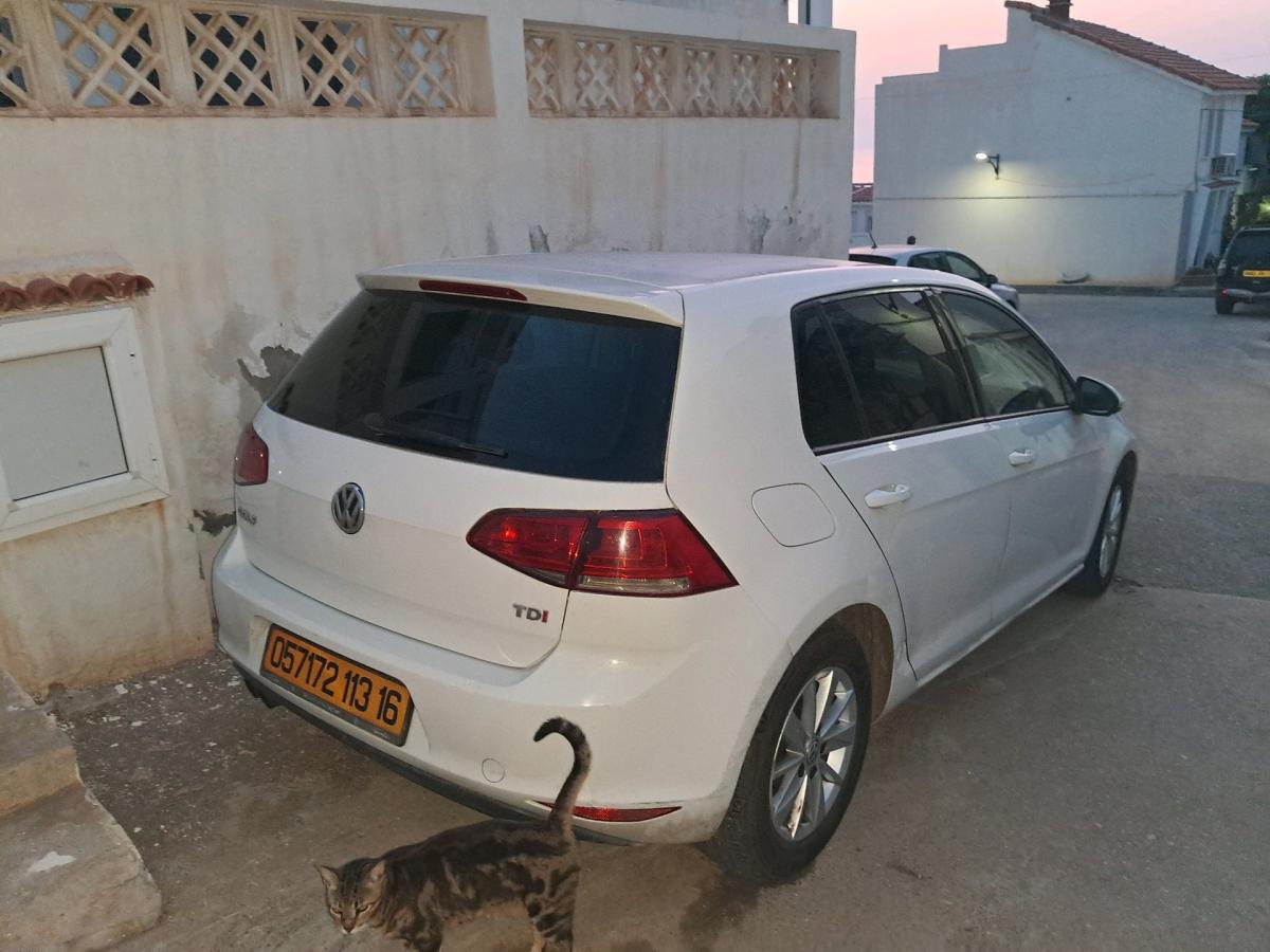 golf 7 Anne 2013 - Alger Centre, Alger - Tijelabin