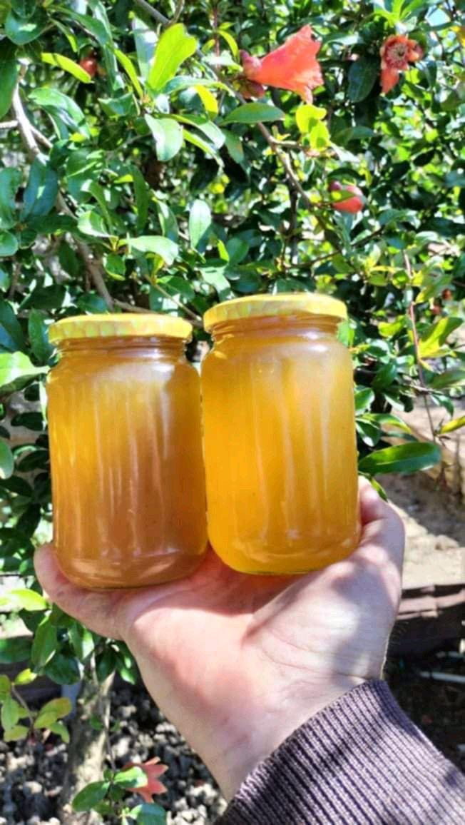 miel jujubier - Alger Centre, Alger - Tijelabin