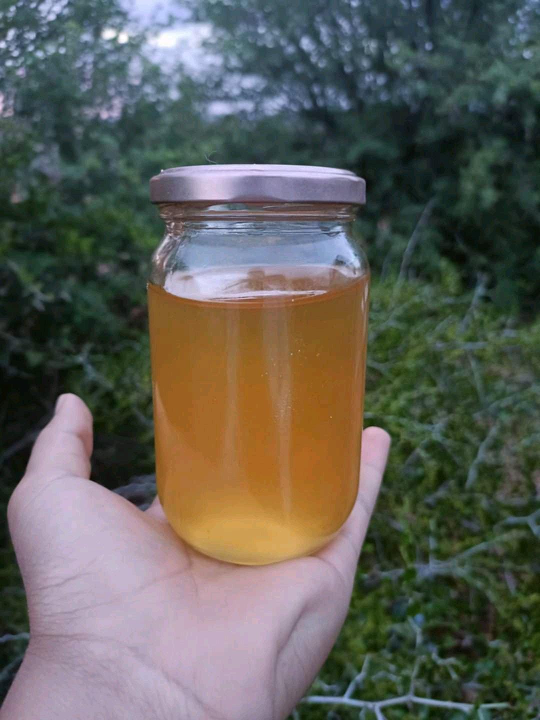 miel jujubier - Alger Centre, Alger - Tijelabin