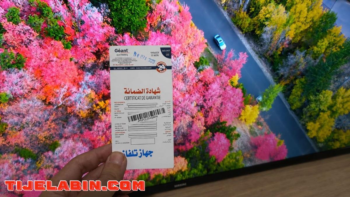 Télévision  43P Simple Marque Géant - , Batna - Tijelabin