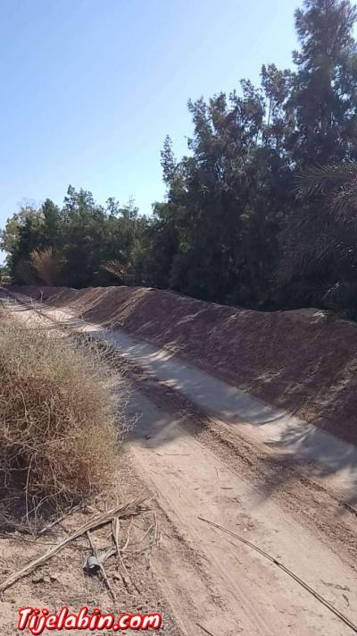 عقار فلاحي