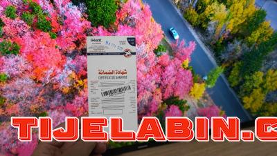 Télévision  43P Simple Marque Géant - Thumbnail 3